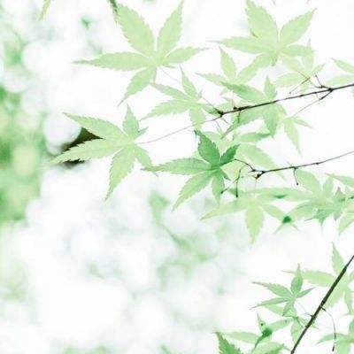 开学在即！中纪委重点整顿教育领域4大腐败，这次要一网打尽