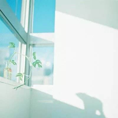 本宫有点烦内购破解版下载