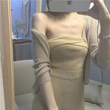 宠物小宝贝内购破解版下载